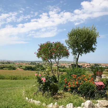 Hotel Y Estudios- 